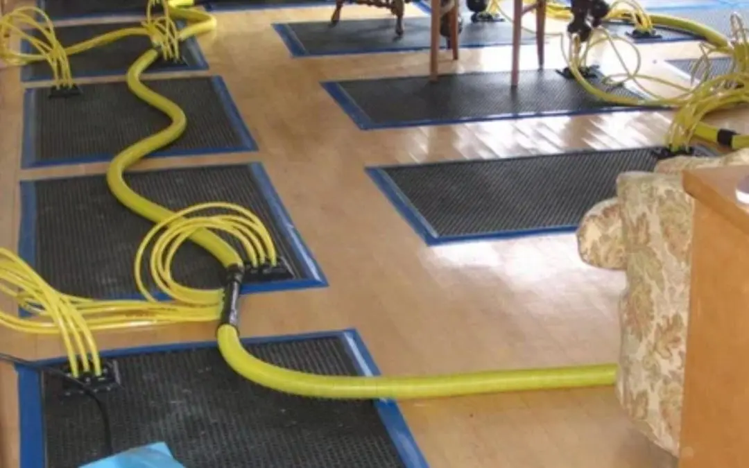 How Can You Prevent Future Water Damage in Your Redlands Property?