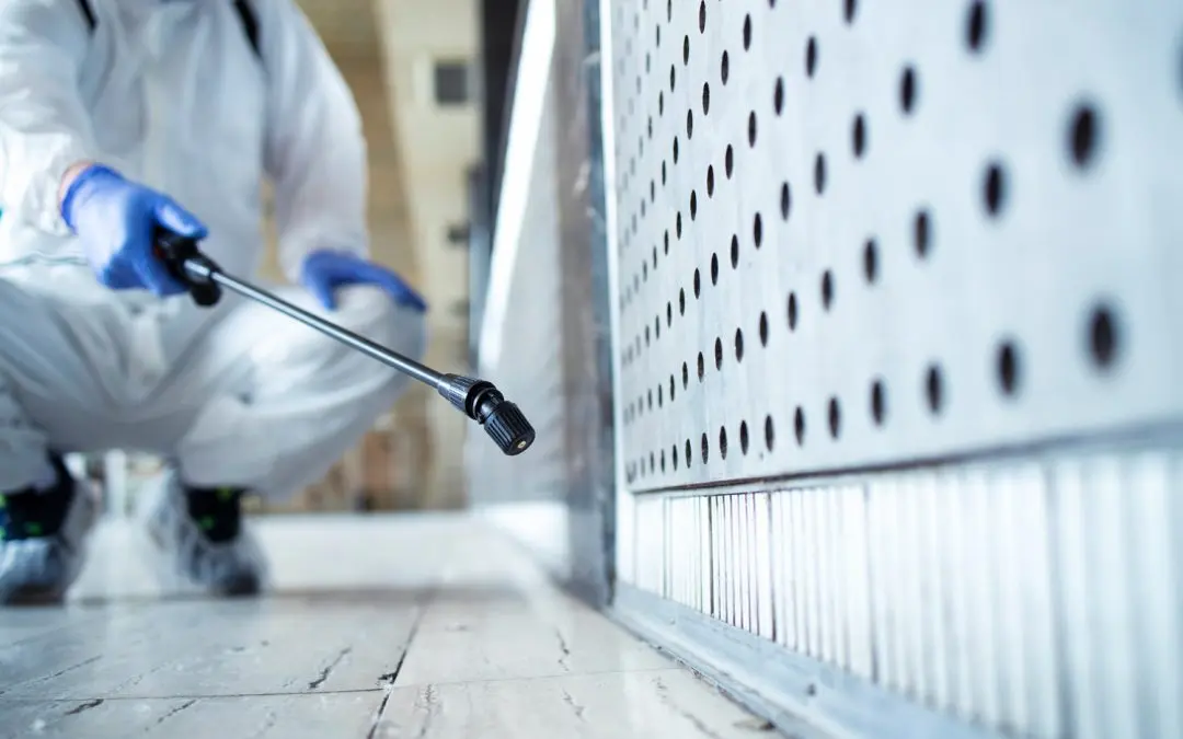 7 Questions You Need to Ask Before Hiring a Mold Remediation Company