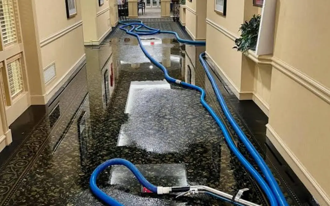 How Long Does Water Damage Restoration Take in Frisco Homes?