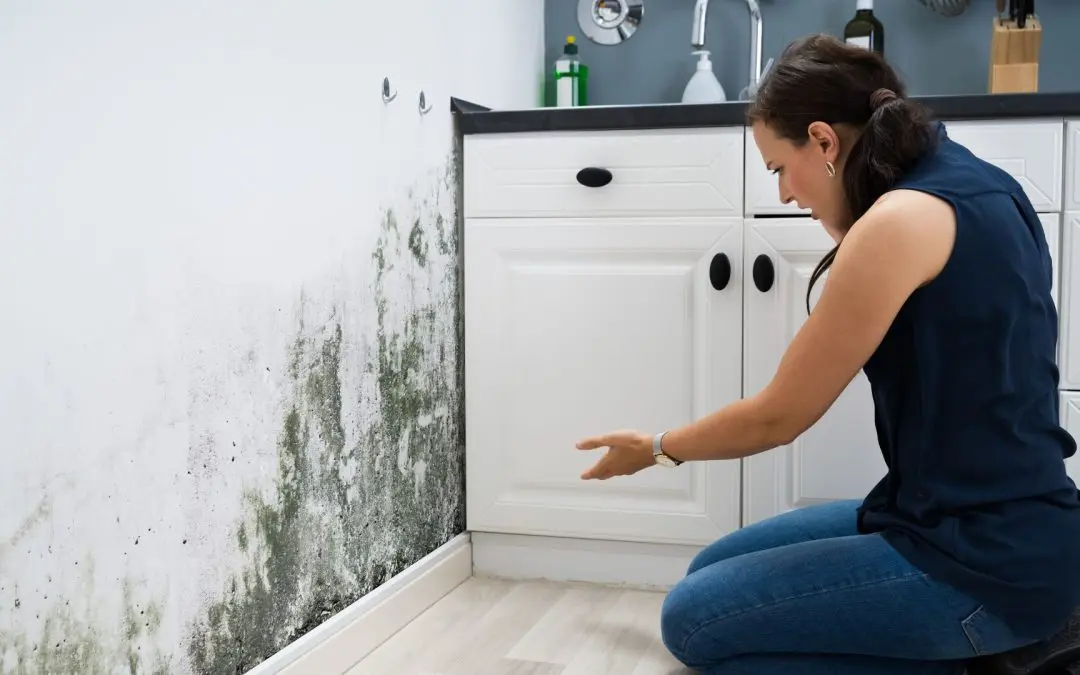 Best Time to Call a Mold Restoration Company in Redlands, CA This July