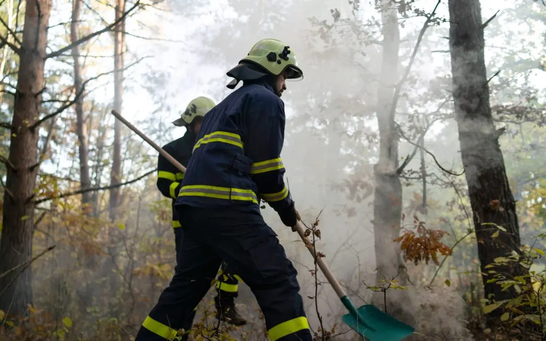 Fire Damage Restoration: Returning Your Home or Business to Pre-Loss Condition