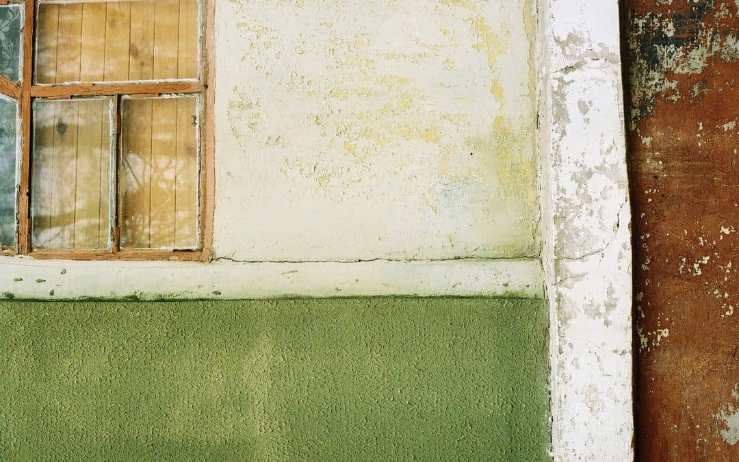 Structural Damage Caused by Mold and How You Can Fix It