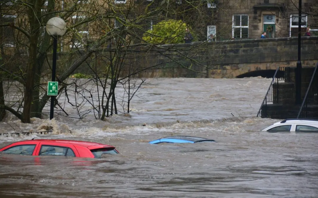 California: Flood Preparedness and the Role of Water Damage Restoration Services
