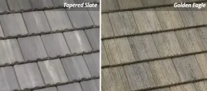 Tapered Slate and Golden Eagle
