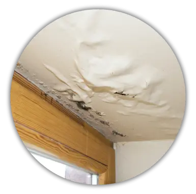 Roof Leak Roof Leak