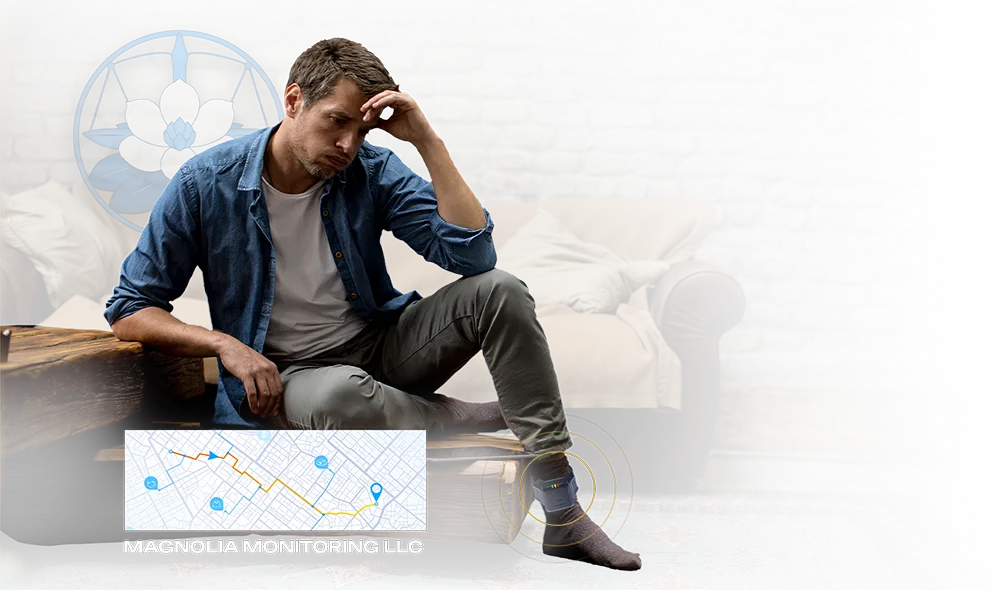 GPS Monitoring Image