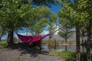 hammock