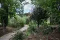 hidden-entrance