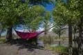 hammock