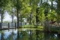 pond