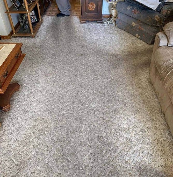 Carpet Cleaners Service