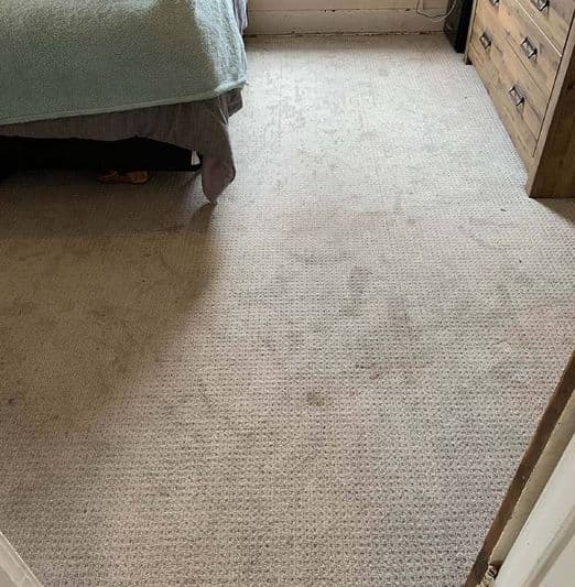 Carpet Cleaning Service