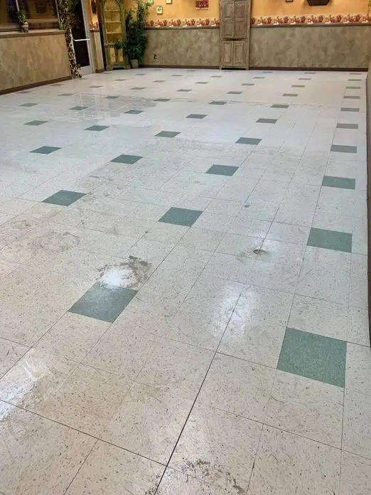 Cleaner for Vinyl Floors