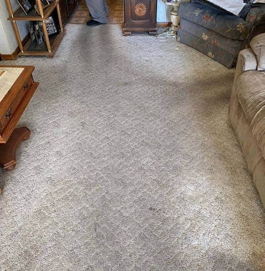 Carpet Cleaners Service