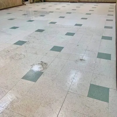 Cleaner for Vinyl Floors