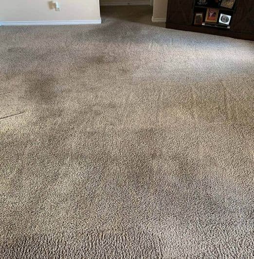 Home Carpet Cleaning Services