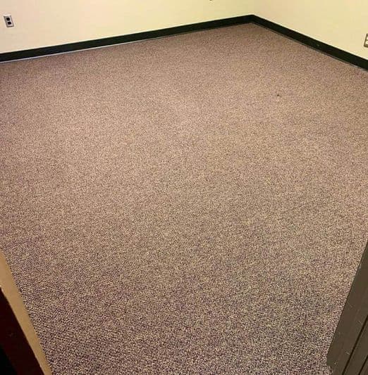 Carpet Cleaner Service