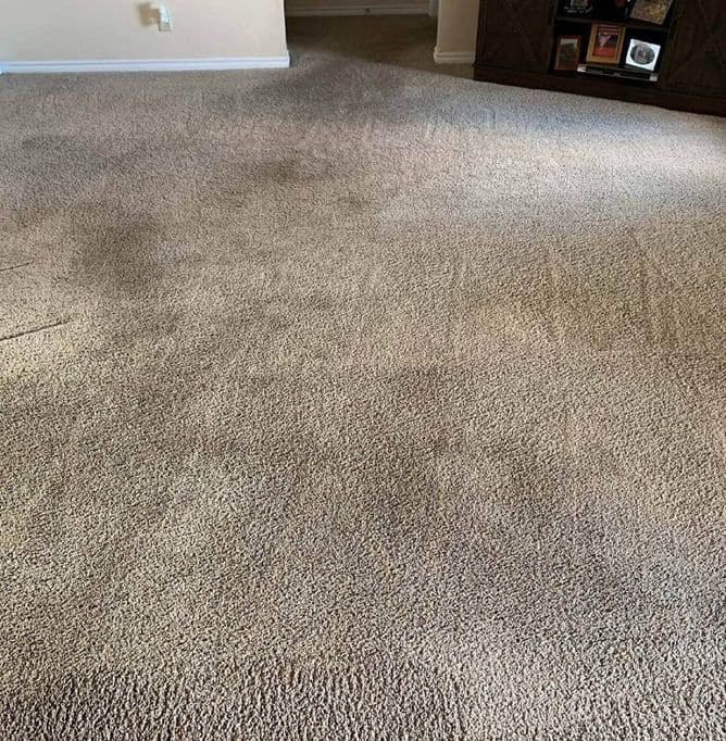 Home Carpet Cleaning Services