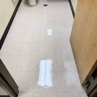 Vinyl Floor Cleaning Services Near Me