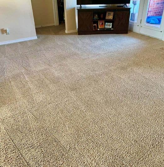 Professional Carpet Cleaning Service