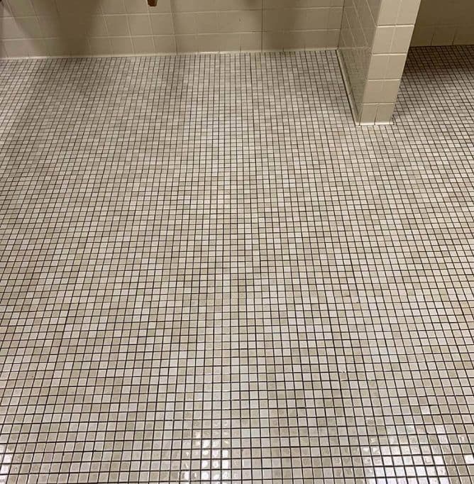 Tile and Grout Cleaner