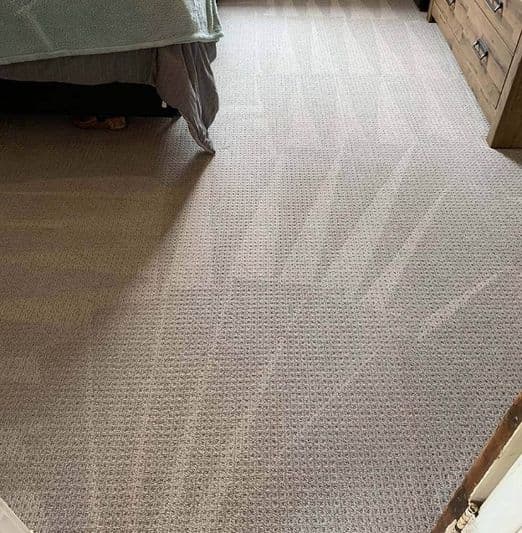 Carpet Cleaner Services