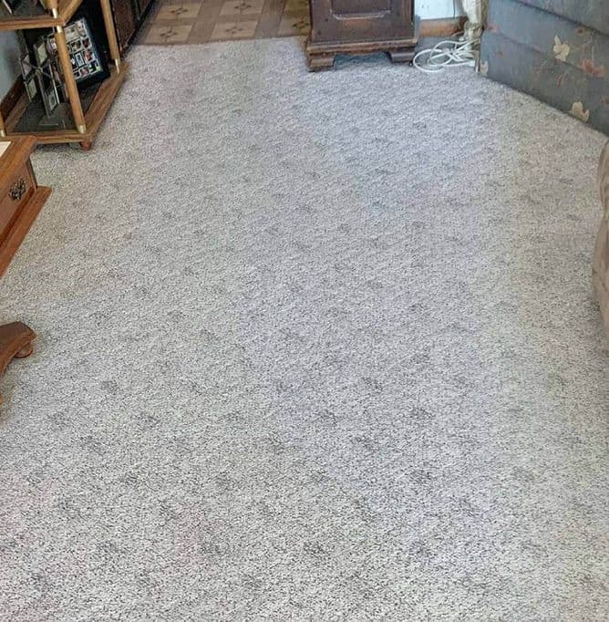 Cleaning Services Carpet