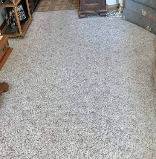 Cleaning Services Carpet