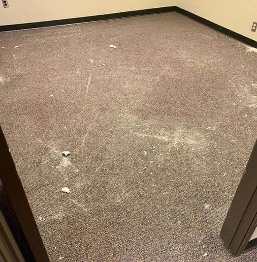 Carpet Cleaners Services