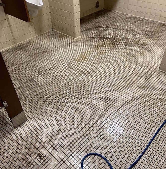 Tile and Grout Cleaning