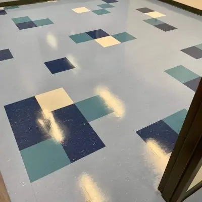 Best Floor Cleaner for Vinyl