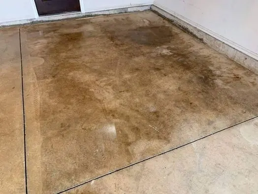 Vinyl Floor Cleaner