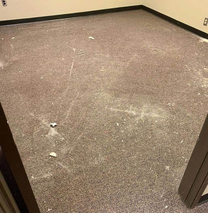 Carpet Cleaners Services