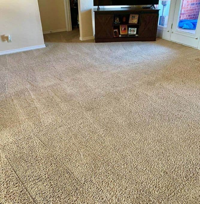 Professional Carpet Cleaning Service