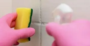 professional cleaning service