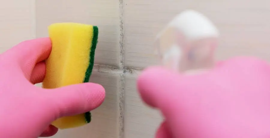 professional cleaning service