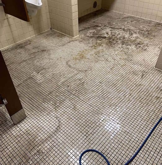 Tile and Grout Cleaning