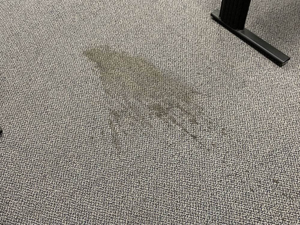 Reliable Carpet Stain Removal Service