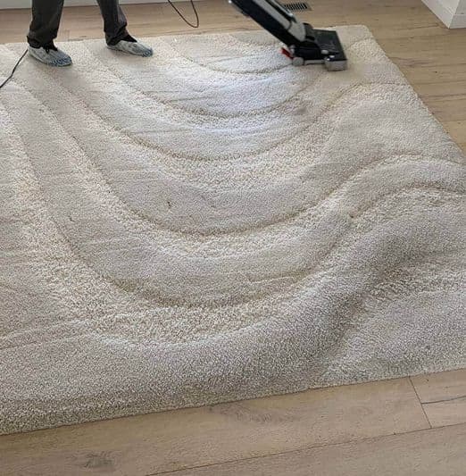 Rug Cleaning Company