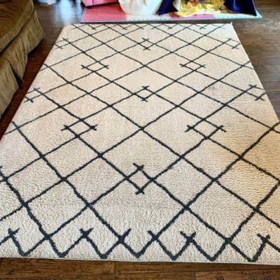 Area Rug Cleaning Service