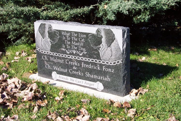 frederick-fonz_shamariah