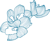 image (1)