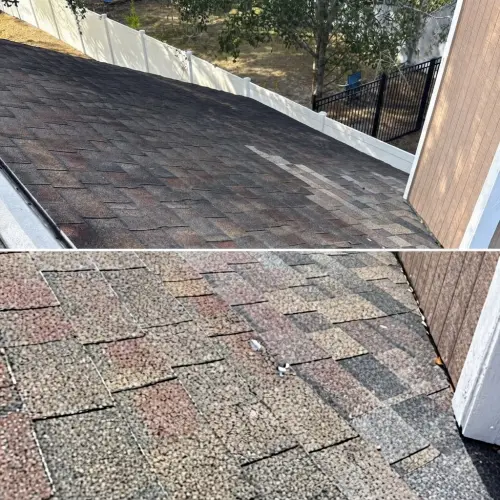 Restored roofline after professional cleaning in Tampa, FL