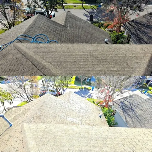 Soft-washed tile roof in Tampa, FL