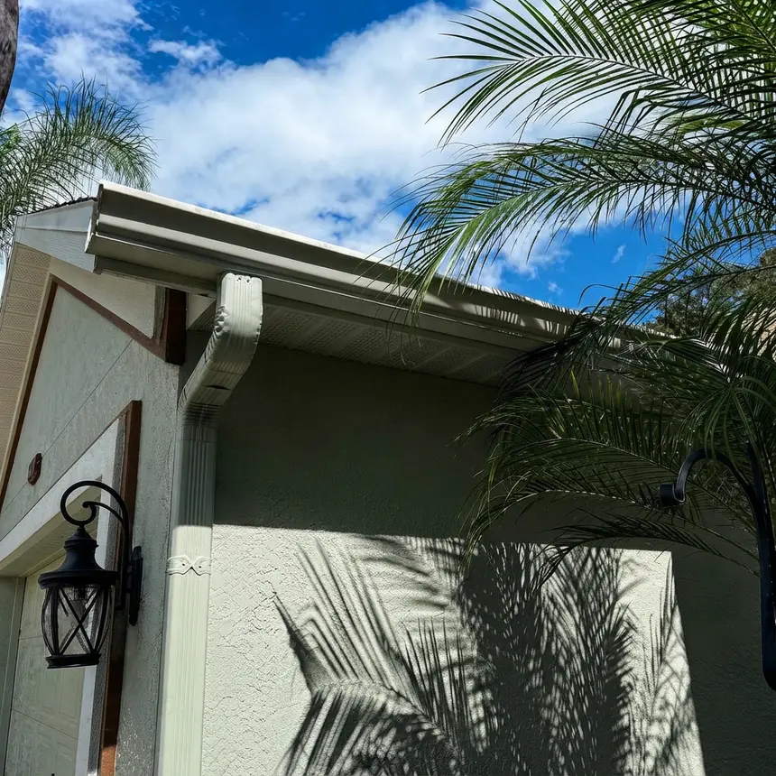 Gutter Cleaning Tampa, FL
