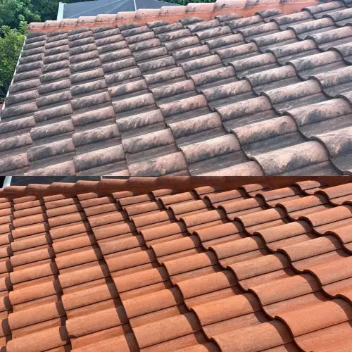 Roof algae and black streak removal in Tampa, FL