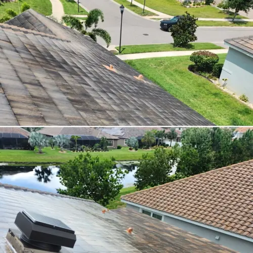Roof cleaning project in Tampa, FL