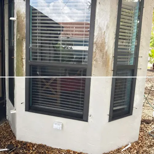 Window washing job completed in Tampa, FL