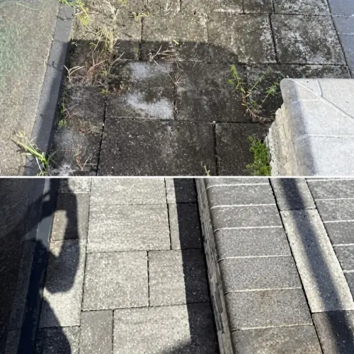 Paver joints re-sanded and sealed in Tampa, FL