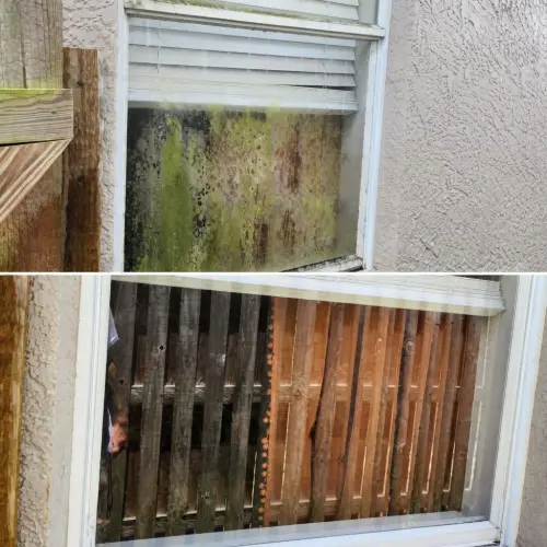 Window cleaning results in Tampa, FL